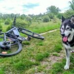 431394195 814571687140361 2718544287265289394 n